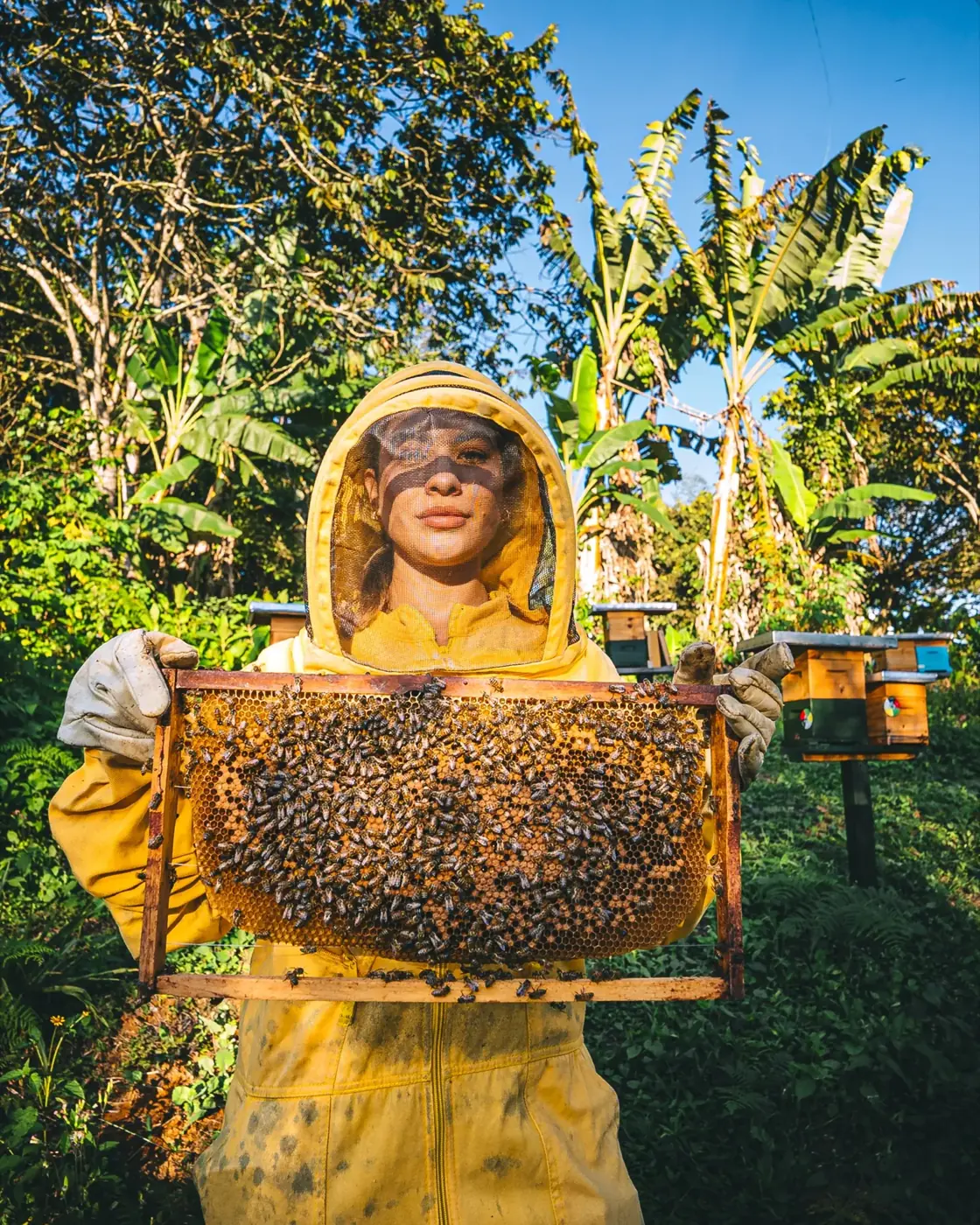 Apicultora de HONI sosteniendo un marco lleno de abejas en el apiario